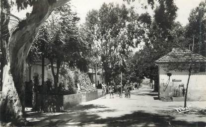 CPSM FRANCE 83 "Ile de Porquerolles, Rue de la Ferme"