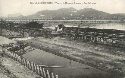 CPA FRANCE 83 "Salins des Pesquiers, Vue sur le Mont des Oiseaux et San Salvadour"