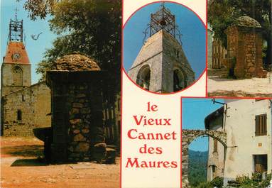 CPSM FRANCE 83 " Le Cannet des Maures, Vues"
