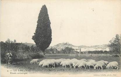 CPA FRANCE 83 " Le Luc, Un troupeau de moutons"