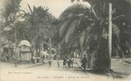 83 Var CPA FRANCE 83 " Sanary sur Mer, Avenue des Palmiers"