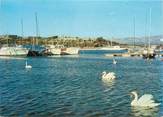 83 Var CPSM FRANCE 83 " Ile des Embiez, Vue sur le port, les douanes"