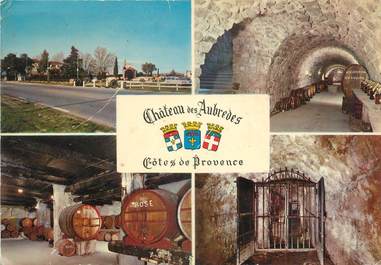 CPSM FRANCE 83 " Puget sur Argens, Le Domaine Fleurquin"