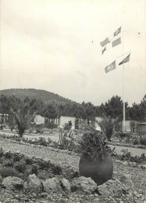 CPSM FRANCE 83 " Les Issambres, Village de Vacances du Touring Club de France"