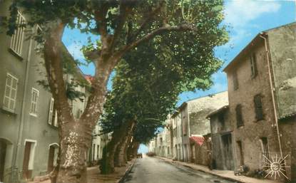 CPSM FRANCE 83 " Garéoult, Le Boulevard Marseillais"