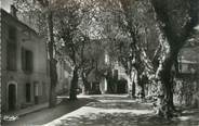 83 Var CPSM FRANCE 83 " La Roquebrussanne, Route de Mazaugues, L'Orbitelle"