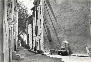 CPSM FRANCE 83 " La Roquebrussanne, Place St Antoine"