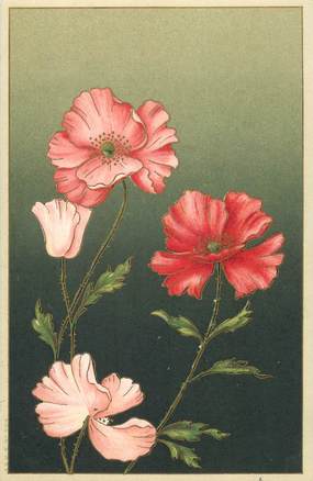 CPA  FANTAISIE  "  coquelicot  " /  Editeur AMB