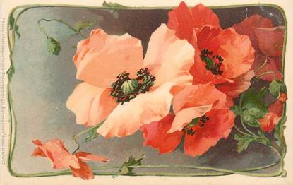 CPA  FANTAISIE  "  coquelicot " /  Editeur AMB