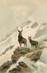 CPA   FANTAISIE   "   Le Cerf et la biche en montagne"  /  Editeur AMB 