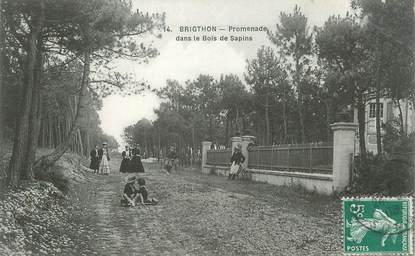 CPA FRANCE 80 "Brigthon, Promenade dans le Bois des Sapins"