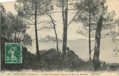 CPA FRANCE 29 " Carantec, Le Bois de Sapins vue sur la Baie de Morlaix"