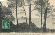 29 Finistere CPA FRANCE 29 " Carantec, Le Bois de Sapins vue sur la Baie de Morlaix"