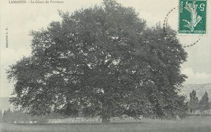 CPA FRANCE 13 " Lamanon, Le Géant de Provence"