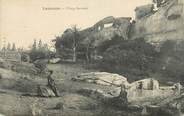 13 Bouch Du Rhone CPA FRANCE 13 " Lamanon, Village Sarrazin"