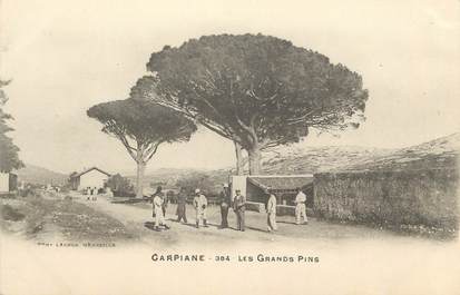CPA FRANCE 13 "Le Camp de Carpiagne, Les Grands Pins"