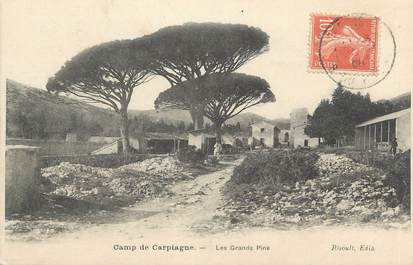 CPA FRANCE 13 "Le Camp de Carpiagne, Les Grands Pins"