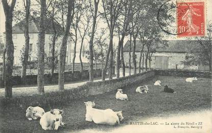 CPA FRANCE 71 "Saint Martin du Lac, la sieste du Bétail"