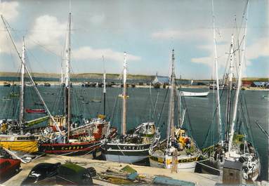 CPSM FRANCE 29 "Camaret, Les langoustiers au port"