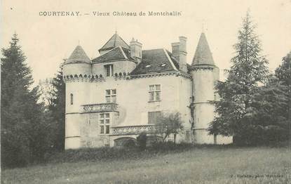 CPA FRANCE 01 "Courtenay, vieux chateau de Montchalin"