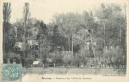 91 Essonne CPA FRANCE 91 " Brunoy, Panorama des Vallées de Mandres"