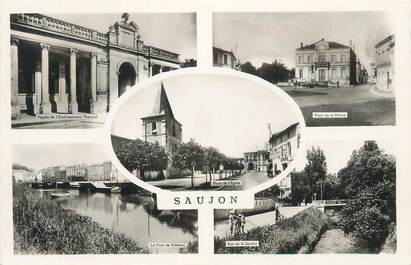 CPSM FRANCE 17 " Saujon, Vues"