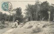 17 Charente Maritime CPA FRANCE 17" Environs de Royan, Tramway forestier de la Grande Côte"