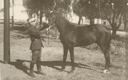 CARTE PHOTO ALGERIE " Kenchela, Un militaire et son cheval"