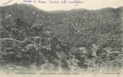 CPA ALGERIE "Teniet El Haad, Vue d'ensemble de la forêt des cèdres"