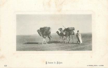 CPA ALGERIE " Chameaux à travers le Sahara"/ GEISER