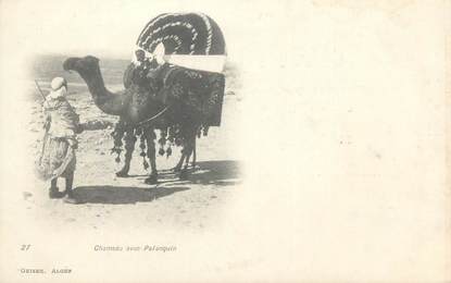 CPA ALGERIE " Chameau avec Palanquin"/ GEISER