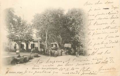 CPA ALGERIE "Bérard, Rue principale" / GEISER