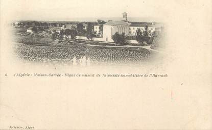 CPA ALGERIE "Maison Carrée, Vigne de Muscat de la Sté Immobilière de l'Harrach" / GEISER