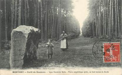 CPA FRANCE 76 "Montigny, La Forêt de Roumare"