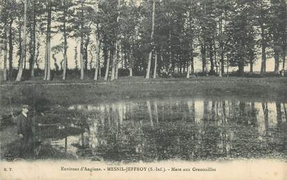 CPA FRANCE 76 "Mesnil- Jeffroy, Mare aux Grenouilles"