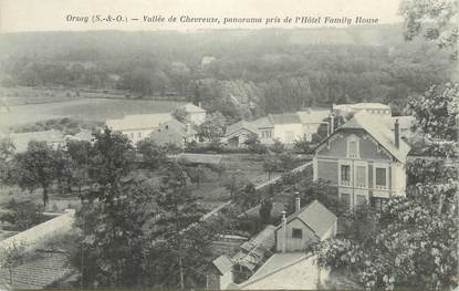 CPA FRANCE 91 " Orsay, Panorama pris de l'Hôtel Family House"