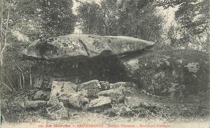 CPA FRANCE 58 "Saint Brisson, dolmen Chevresse" / DOLMEN / MENHIR