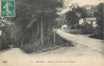 CPA FRANCE 91 "Bièvres, Route de Versailles et de Vauboyen"