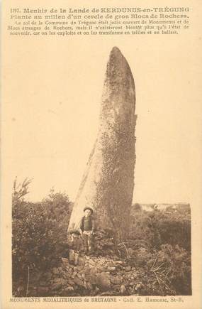 CPA FRANCE 29 "Menhir de La Lande de Kerdunus en Trégung" / MENHIR