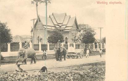 CPA THAILANDE / SIAM "Travail des éléphants"