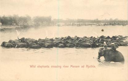 CPA THAILANDE / SIAM "Eléphants traversant la rivière Menam à Ajuthia"