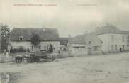89 Yonne CPA FRANCE 89 " Savigny en Terre Plaine, La fontaine"