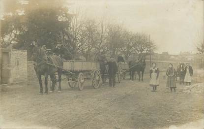 CARTE PHOTO "Attelage de chevaux"