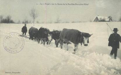 CPA FRANCE 88 "Sur la route de la Feuillée - Dorothée, La frayée"