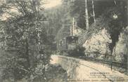 88 Vosge CPA FRANCE 88 " Gérardmer, Le tramway dans la forêt" / TRAMWAY