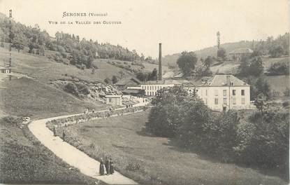 CPA FRANCE 88 " Senones, Vue de la Vallée des Gouttes"