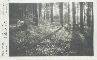 CPA FRANCE 88 " Cueillette de Brimbelles dans les Vosges"