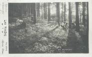 88 Vosge CPA FRANCE 88 " Cueillette de Brimbelles dans les Vosges"