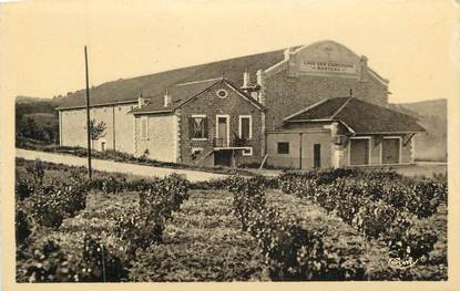 CPA FRANCE 84 "Rasteau, La Cave des Vignerons"