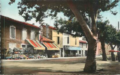 CPSM FRANCE 84 "Lapalud, Cours des Platanes'